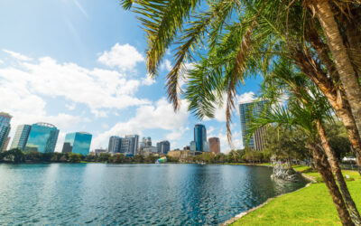 Top 5 Things To Do in Orlando